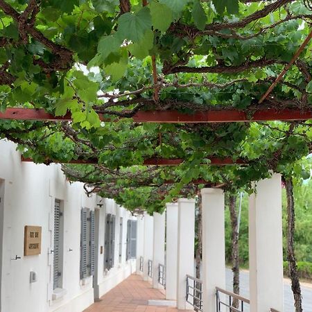 كاليتزدورب Port Wine Guesthouse المظهر الخارجي الصورة